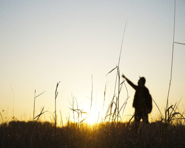 İnsan elinin silueti, doğanın arka planında bir numarayı gösteriyor, işaret ediyor. Eller sahada gökyüzünü gösteriyor. Güneşli bir yaz. günbatımı sarı ışık