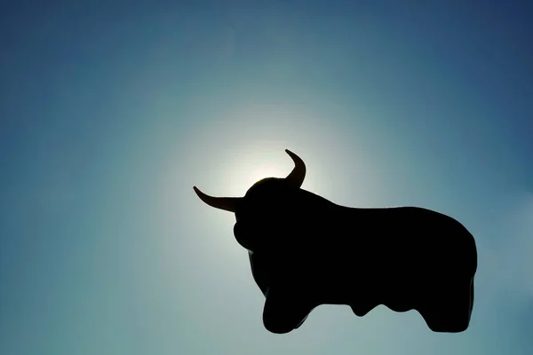 Head and body of bull in prairie habitat silhouette against colorful sunset sky. silhouette of big bull