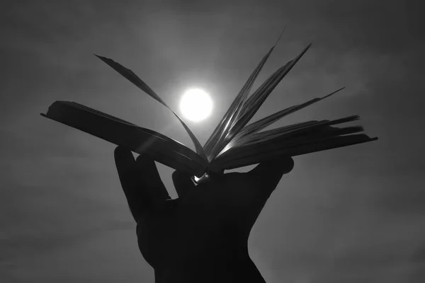 male Hand holding open book in front of sky.