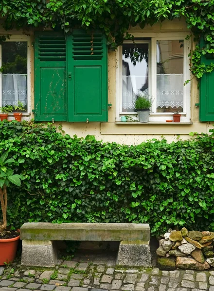 Bench under the window with plants. Big bushes next to the bench with fresh green leaves. Old home building in Europe, vintage exterior style.