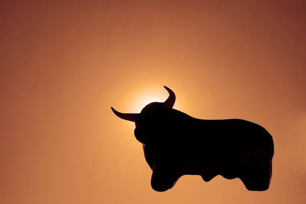 Head and body of bull in prairie habitat silhouette against colorful sunset sky. silhouette of big bull