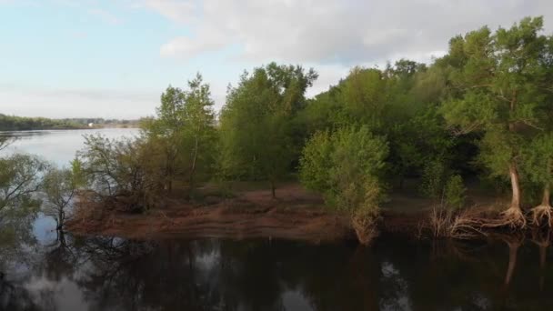 Vliegen langs de rivier rond groen bos op zonnige dag luchtfoto drone — Stockvideo