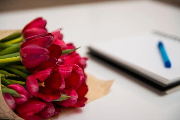 Lapos feküdt piros csokor tulipán elszigetelt fehér notebook és toll üres hely a szöveg — Stock Fotó