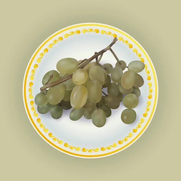 Bouquet de raisins blancs sur plaque vectorielle illustration — Image vectorielle