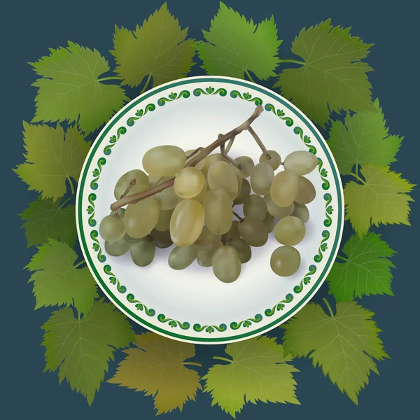 Ramo de uvas en plato blanco. Ilustración vectorial — Archivo Imágenes Vectoriales