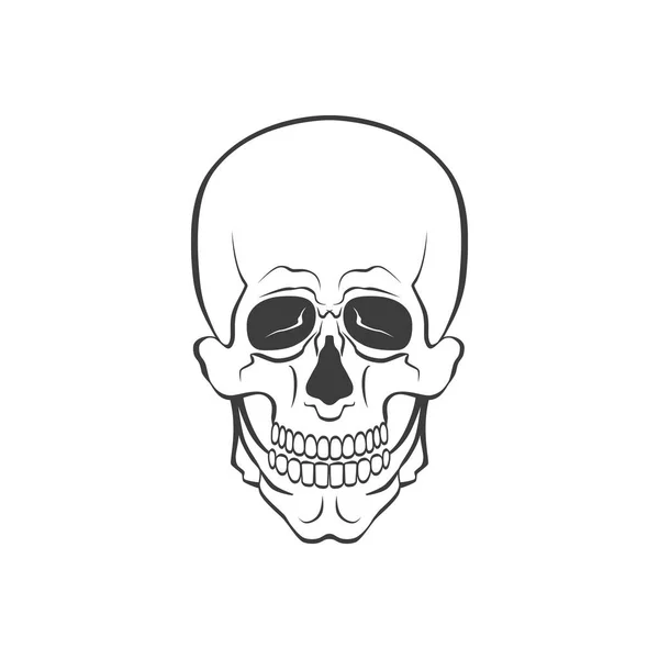 두개골 현대 벡터 일러스트 레이 션 또는 기호 — 스톡 벡터