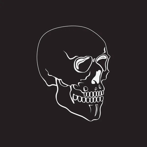 De hand getekende skull vectorillustratie of symbool — Stockvector