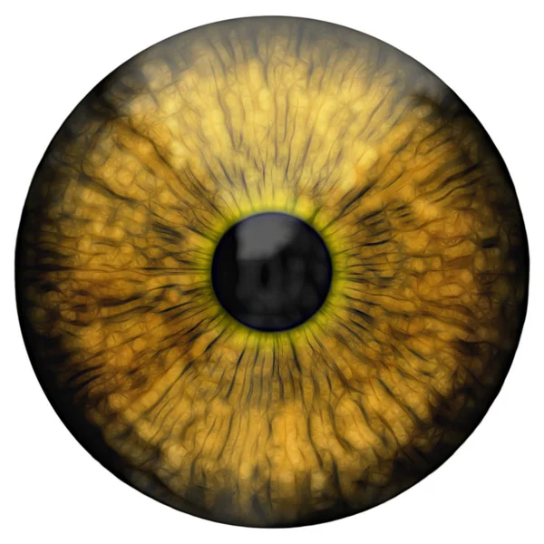 Eye Abstrakt Digital Illustration — Stockfoto