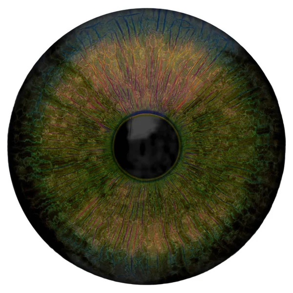 Eye Abstract Digital Illustration — Stock Photo, Image