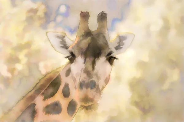 Watercolor Animal Giraffe Portrait — Stock Photo, Image