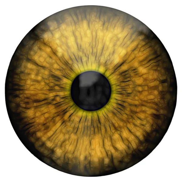 Auge Abstrakte Digitale Illustration — Stockfoto