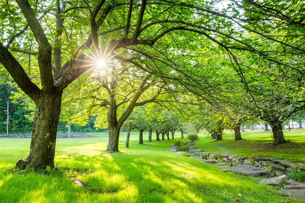 Summer time in Hurd Park, Dover, NJ — Stock Photo, Image