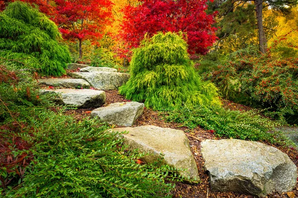 Stepping Stones Lead Red Japanese Maple Trees Kubota Garden Seattle — Stock Photo, Image