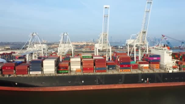 Aerial drone footage of a large container ship — Stok video