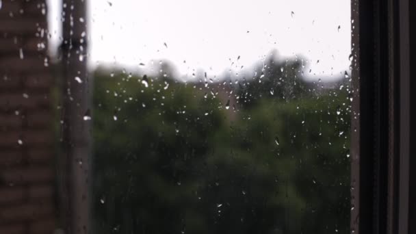 Detailní záběr kapky deště na okenní tabuli — Stock video
