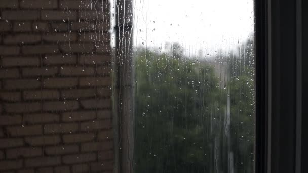 Cerrar gotas de lluvia en el cristal de la ventana — Vídeos de Stock