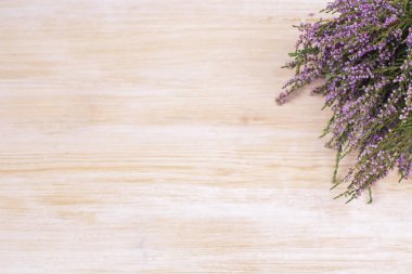 Heather buket ile Modern arka plan