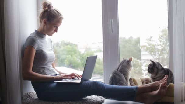 Vacker kvinna med laptop och sitter på fönsterbrädan med hennes katter — Stockvideo