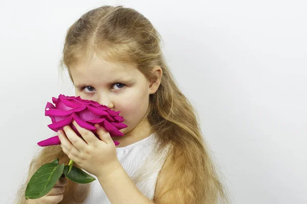 Красива дівчина з рожевою квіткою троянд — стокове фото