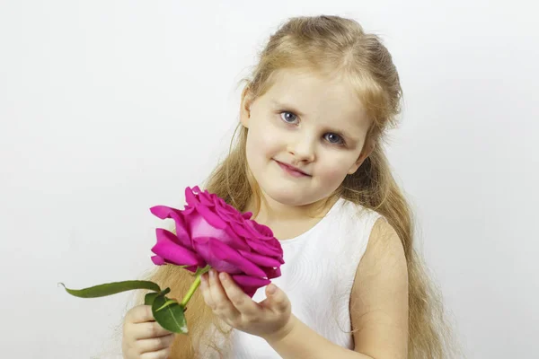 Красива дівчина з рожевою трояндою — стокове фото