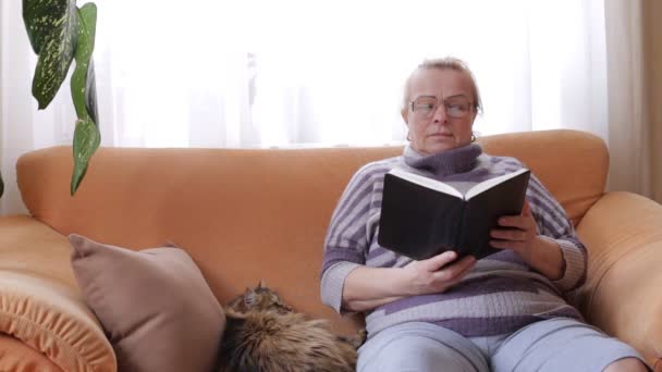 Femme âgée lisant un livre assis sur un canapé — Video