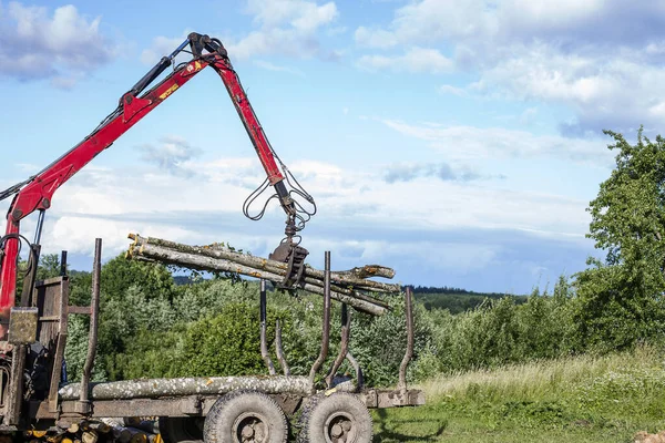 Ağacı manipülatörle boşaltıyorum. Orman düşüşü