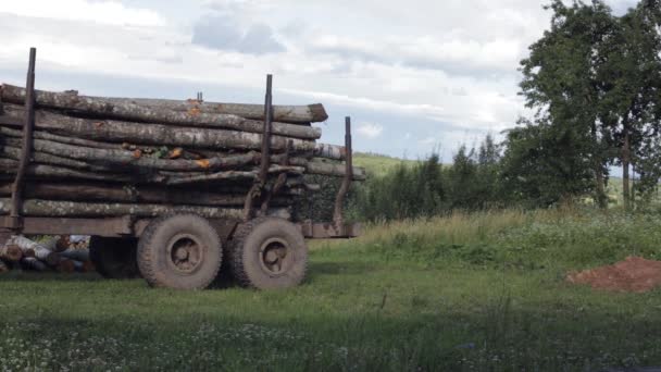 Máquina carregada com longos troncos. Conceito de aquecimento de inverno — Vídeo de Stock