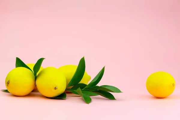Pembe arka planda yeşil bir daldaki limonlar