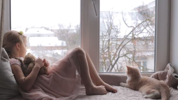 Девочка лежит на подоконнике со своим котом и плюшевым мишкой — стоковое видео