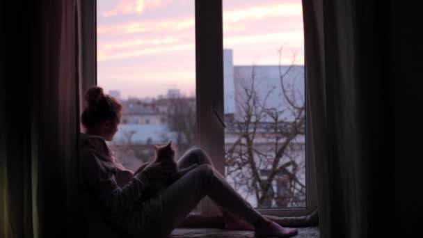 Mädchen beobachtet die rosa Morgendämmerung, wie sie mit ihrer Katze auf der Fensterbank sitzt