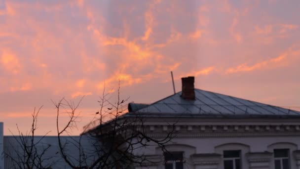 El techo de la casa y el amanecer rosa — Vídeo de stock