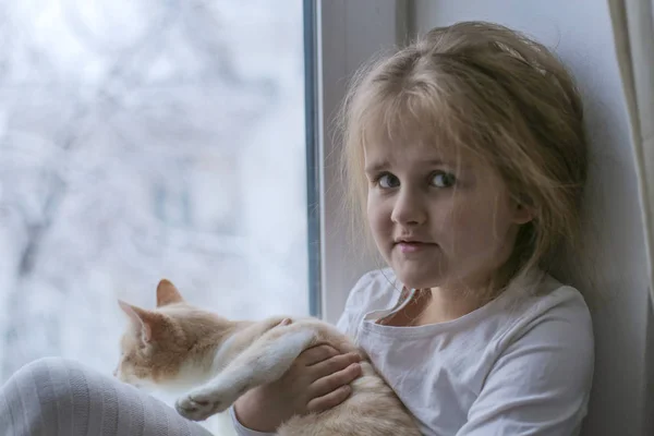 Дитина і з кішкою сидить на вікні і грає — стокове фото