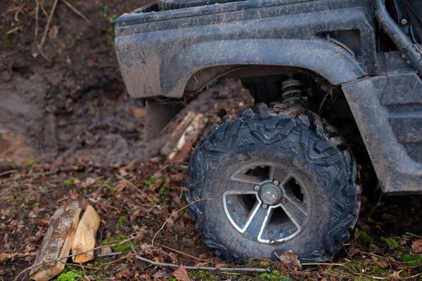 Grande SUV preso na floresta. Condução extrema — Fotografia de Stock