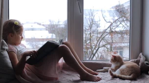 Child reads a book by the window, and a cat sits nearby — Stockvideo