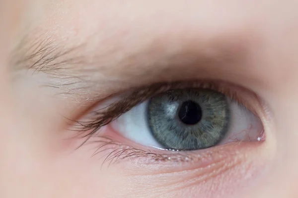 Occhi da bambino colore blu-grigio. La tenerezza e la purezza — Foto Stock