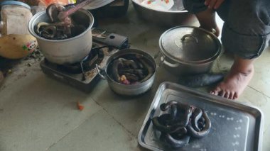 kadın bir çelik tencere metal maşa kullanarak ve bir plaka üzerine koyarak haşlanmış yılan kaldırma  