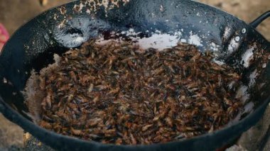 Kadın grasshoppers (yakın çekim metal bir spatula kullanarak bir wok kızartma derin) 