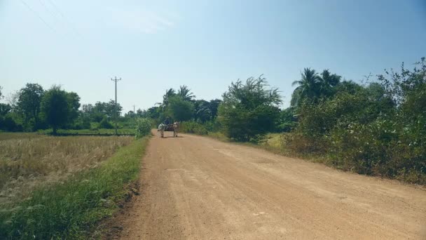 Granjero montando un carro de bueyes vacío por un camino rural — Vídeo de stock