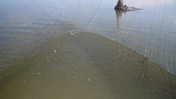 Río red de pesca china que se levanta fuera del agua para atrapar peces (de cerca  ) — Vídeos de Stock