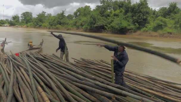 Працівники укладання однакового розміру бамбук поляків в воді вздовж річки — стокове відео