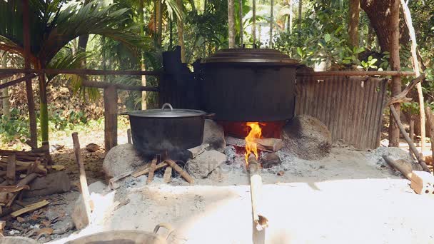 Large pot cooking over open fire on wood and stone — Stock Video