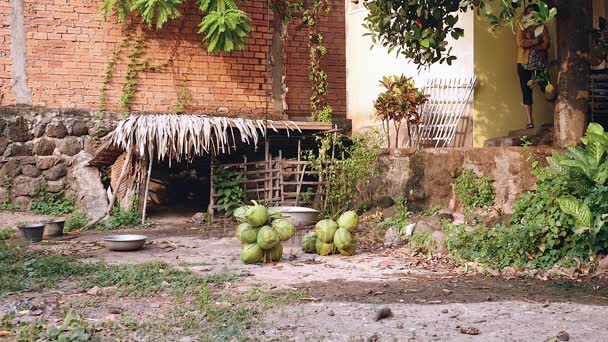 Банки зеленого кокоса на земле — стоковое видео