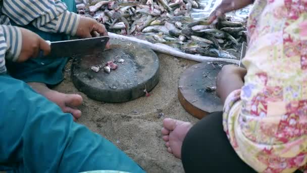 Kasap bıçakları (zaman atlamalı kullanarak yere yuvarlak ahşap kurullarında küçük balıklar kesme kadın kapalı kafa) — Stok video