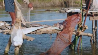 onun net bir küçük bambu platform üzerinde kontrol fisher: balık yok, sadece çakıl taşı. İkinci bir balıkçı net fon olarak bir havuza döküm