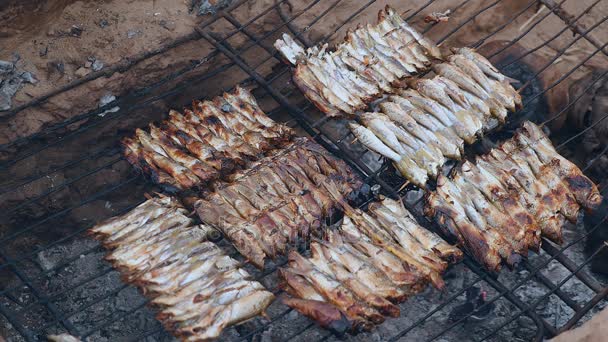 Grilling little fish skewers on in-ground barbecue (close-up) — Stock Video