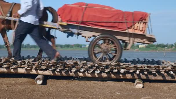 Gros plan sur des charrettes à chevaux transportant des briques sur un pont / plancher en bambou placé sur du sable le long de la rivière — Video