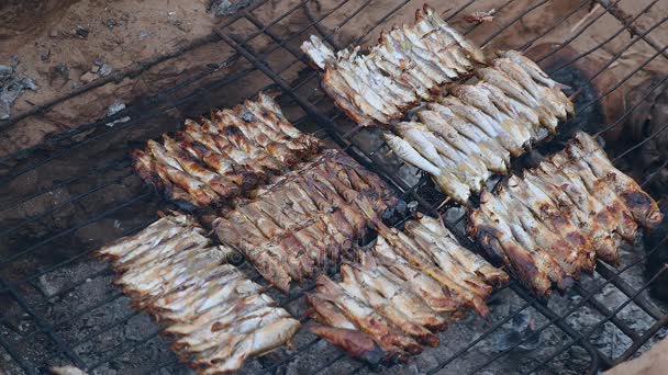 Grilling little fish skewers on in-ground barbecue — Stock Video