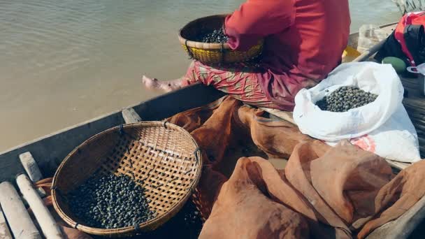 Bambu sepetinde tutulan istiridyeleri ayıklayan bir kadının arka görünümü — Stok video