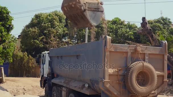 Ekskavatör bir damperli kamyona kum yükleme — Stok video
