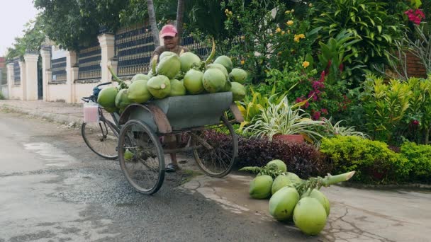 Vendedor de coco cargando su remolque de bicicleta con racimos pesados de cocos para la venta — Vídeo de stock